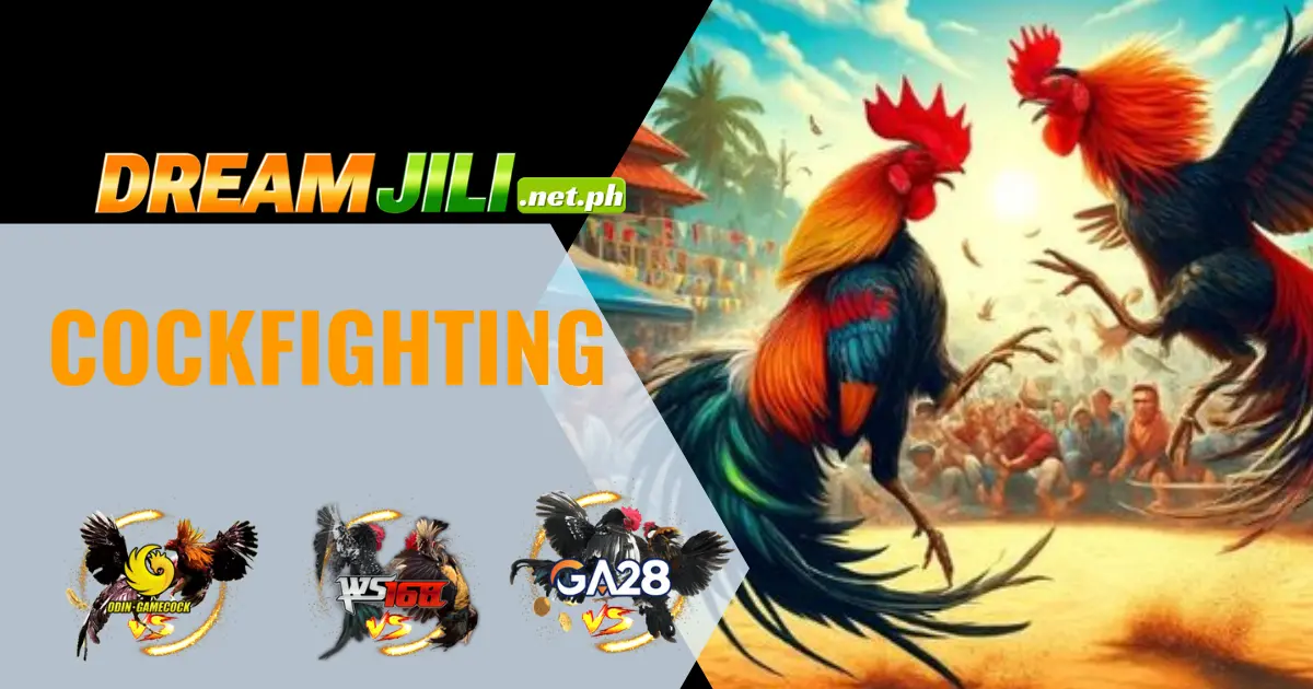 Dreamjili cockfighting