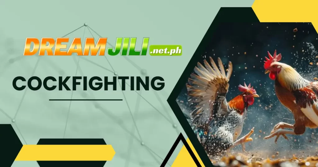 Instructions on how to play Dreamjili cockfighting to win big