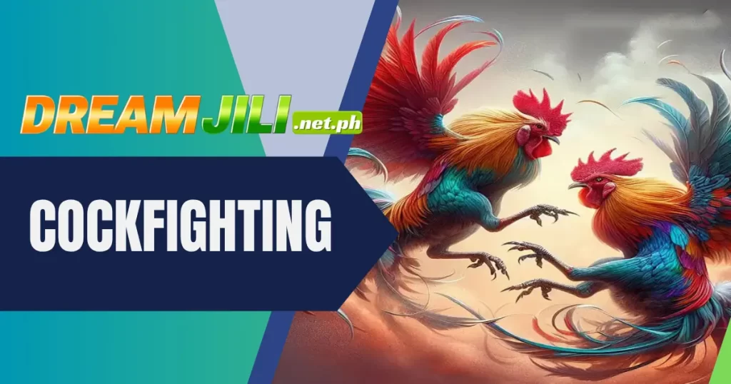 Rules and special symbols of Dreamjili cockfighting